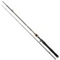 Quantum Energy Extreme Jigging Cast 1,90m 21-84g